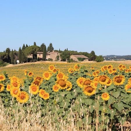 Il Poggio B&B Ginestra Fiorentina Ngoại thất bức ảnh