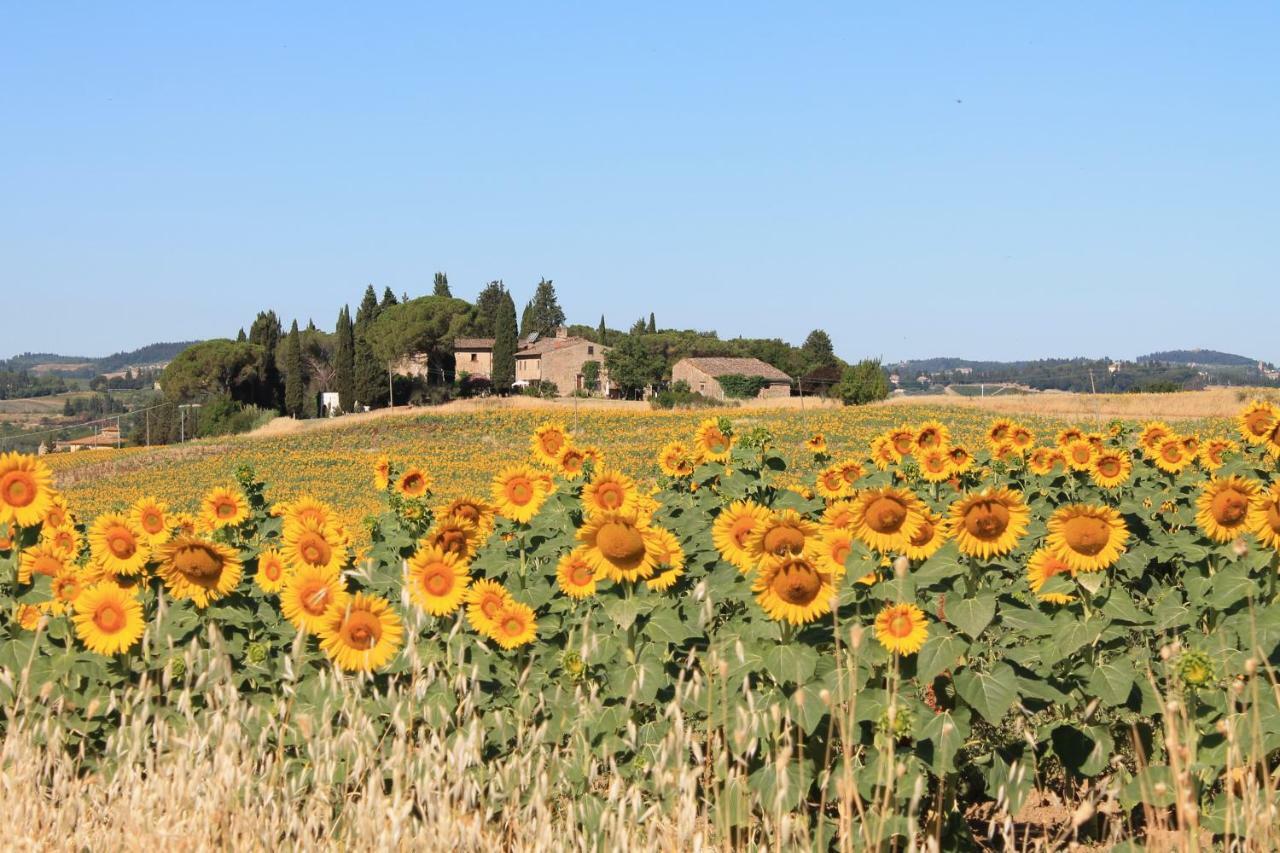 Il Poggio B&B Ginestra Fiorentina Ngoại thất bức ảnh
